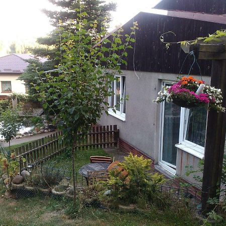 Апартаменты Na Polesi Zlutice Экстерьер фото